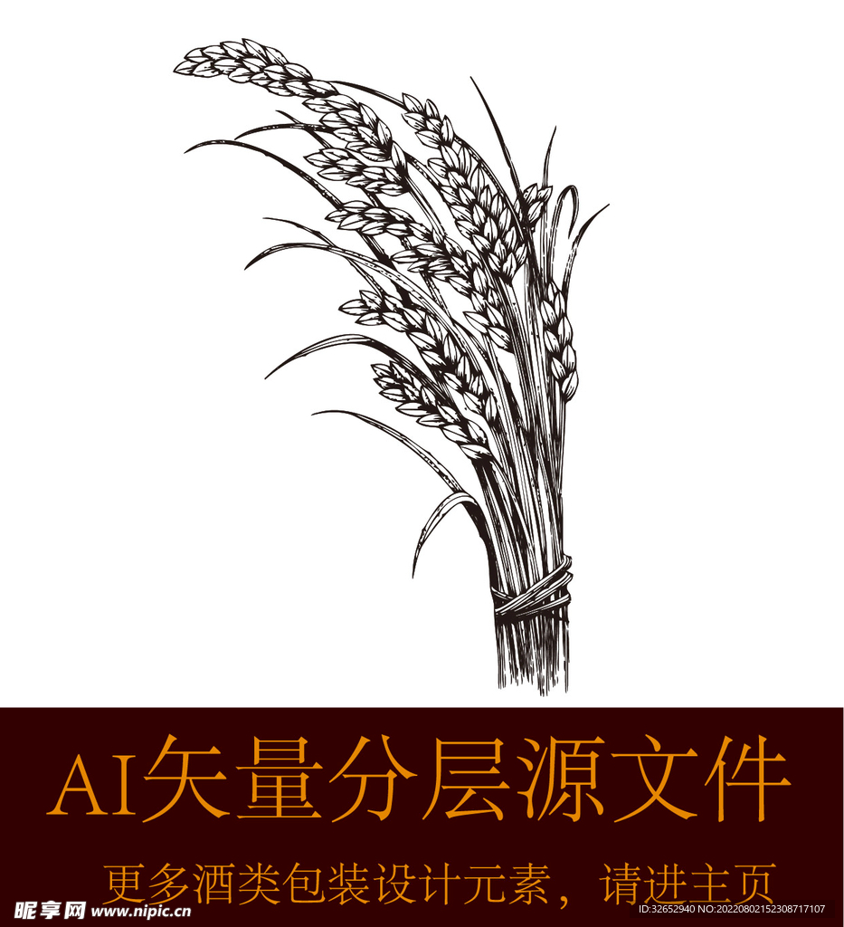 麦子稻穗小麦
