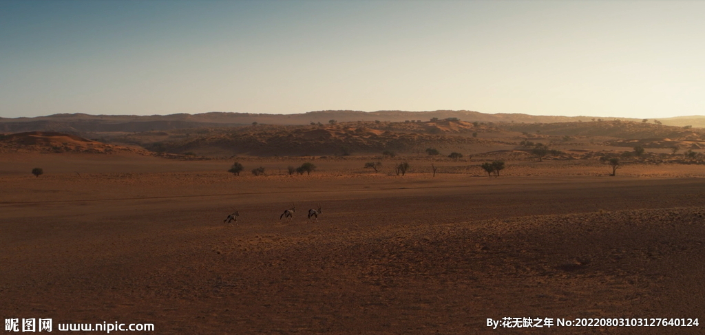 鸟瞰航拍荒野沙漠非洲地貌风光