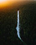 茂密森林积雪小路