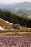 山坡小木屋远山