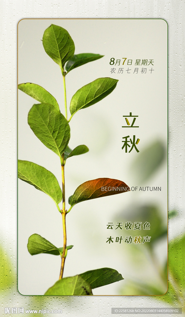 立秋