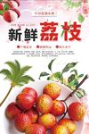  荔枝海报