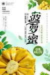  菠萝蜜海报