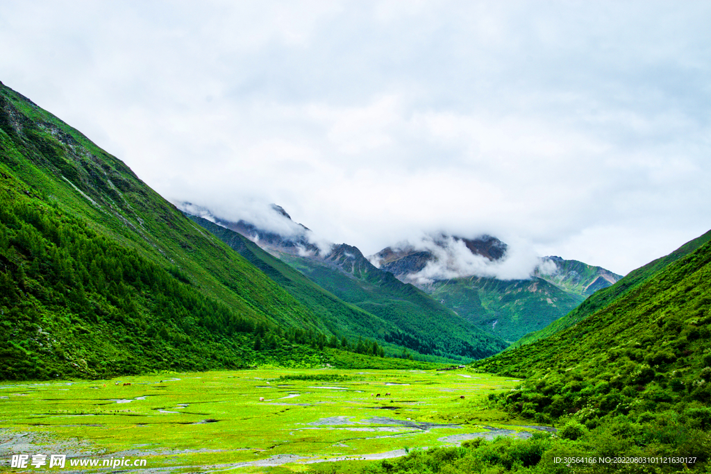 户外绿色山脉山峰自然