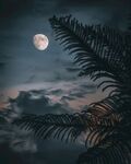 夜景