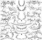 简笔画植物插画边框
