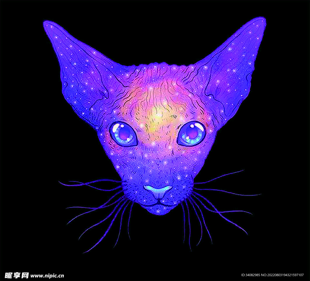 猫