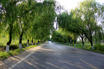 公路