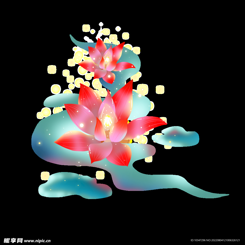 荷花  