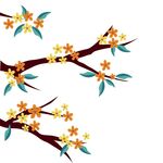 桂花 