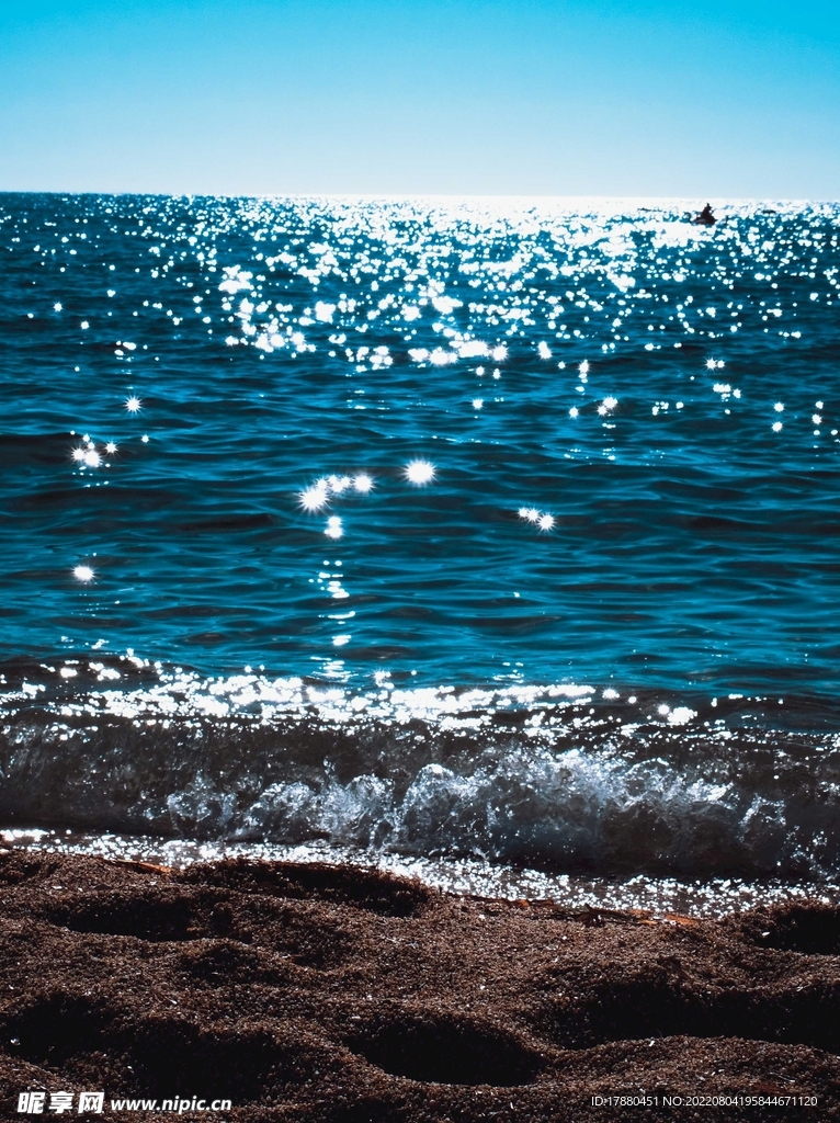 大海