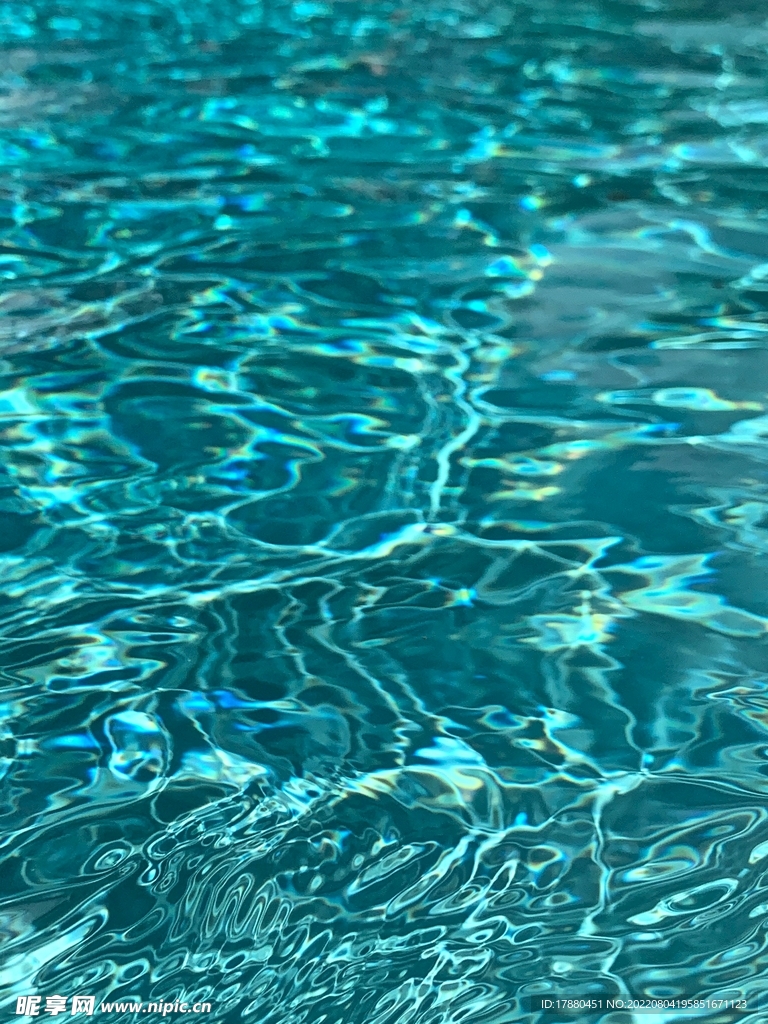 大海