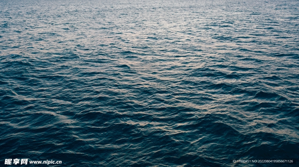 大海