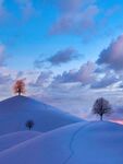 冬日山头雪景