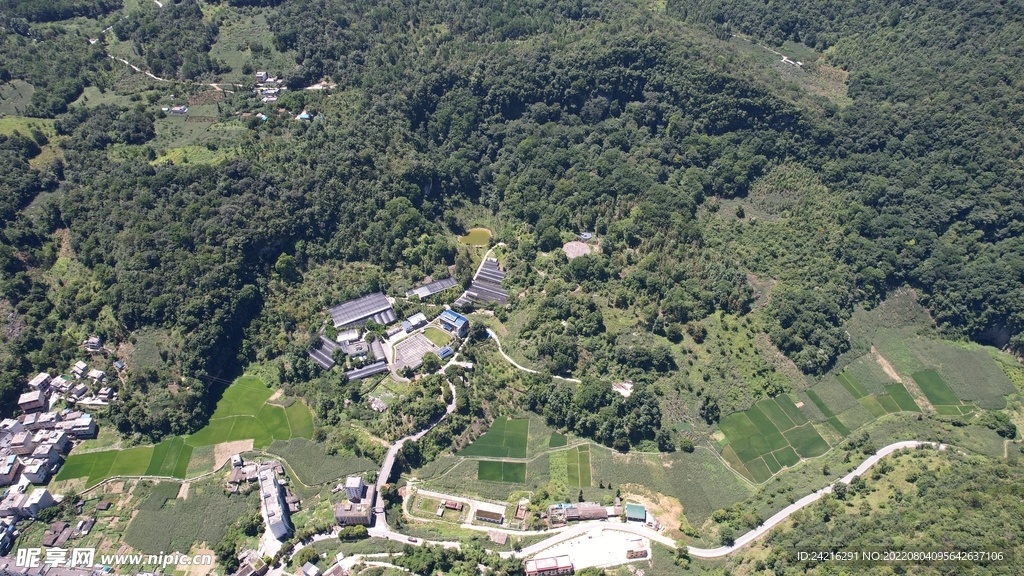 广西雅长兰科国家级保护区