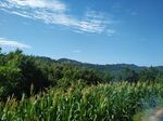玉米山地