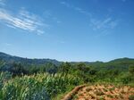 丘陵山脉