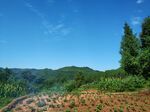 山坡