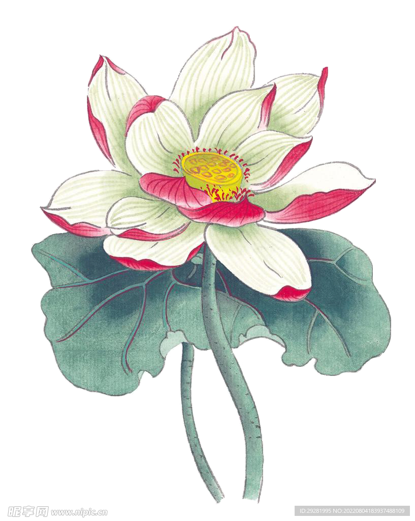 元素素材