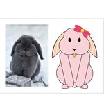 小兔子插画插图