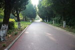 公园小路