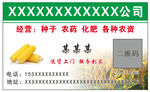 玉米绿色农业商务名片卡片