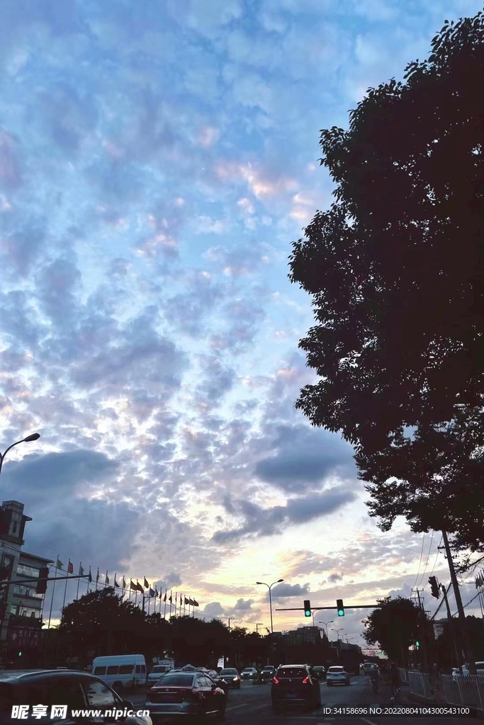 风景照