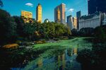 城市 纽约 鸟瞰 地平线 都市