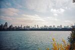 城市 纽约 鸟瞰 地平线 都市