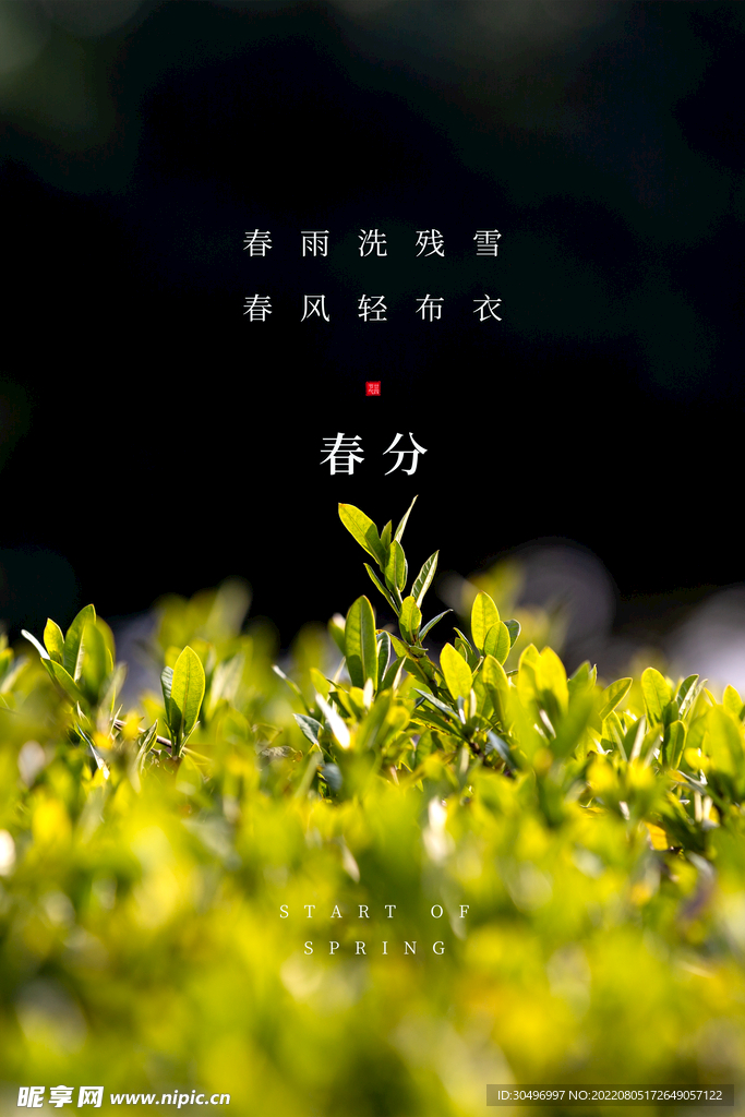 春分插画海报
