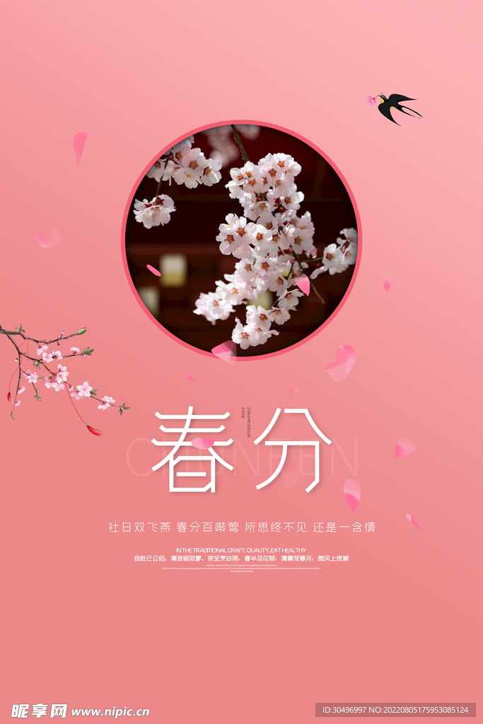 春分插画海报