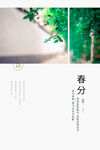 春分插画海报