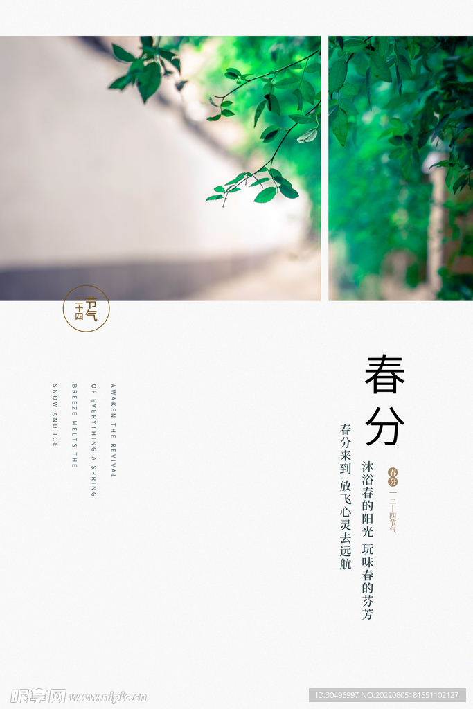 春分插画海报