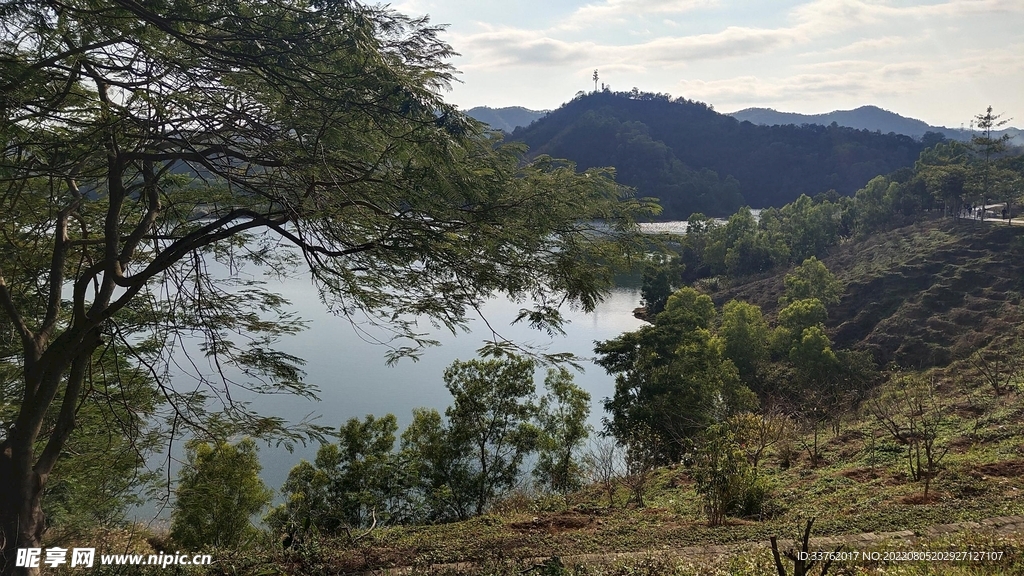 惠州红花湖风景