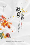 你好九月