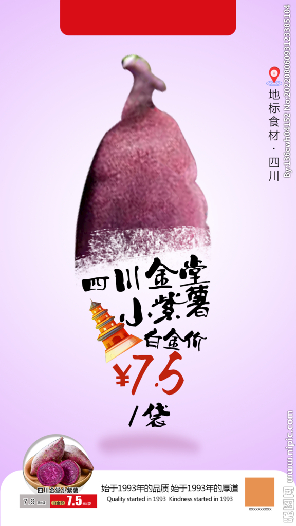 四川小紫薯