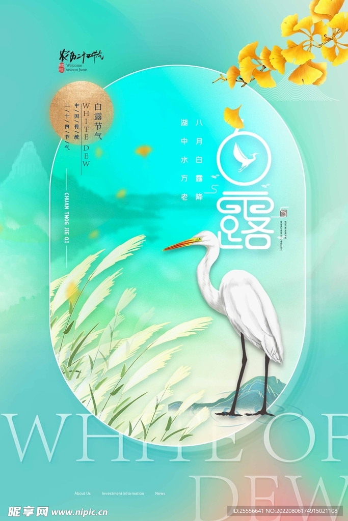 白露