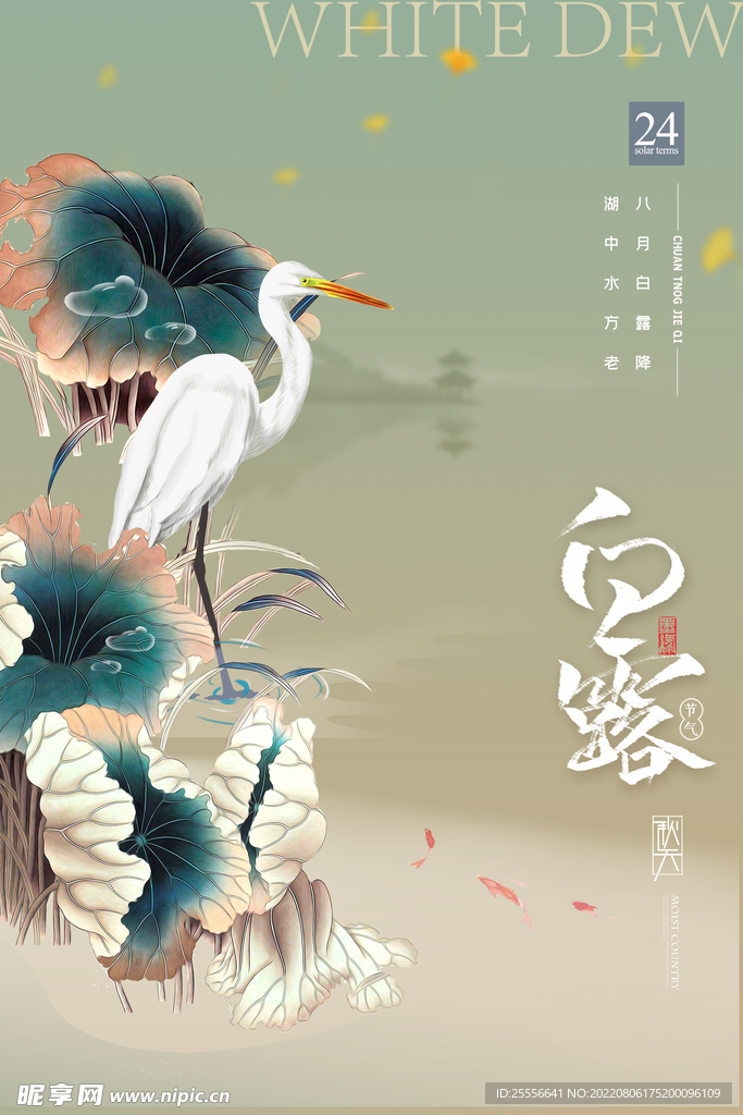 白露