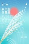 白露