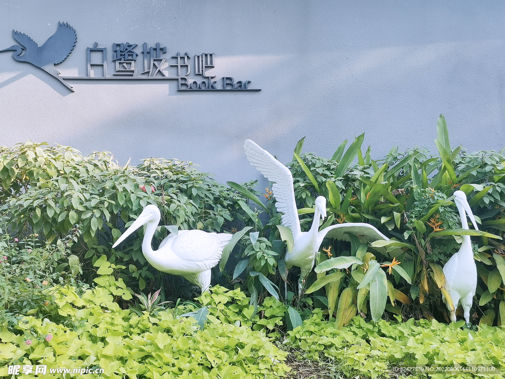 白鹭坡书吧