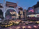 2020年菊花展