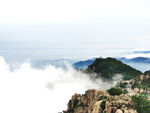 泰山