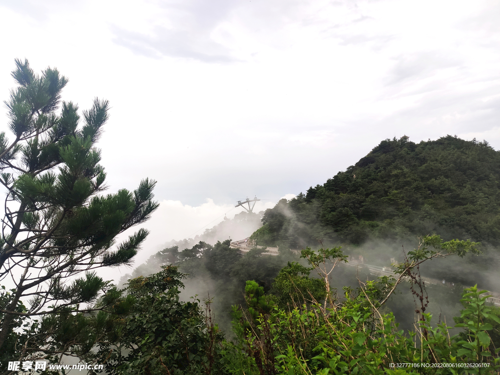 泰山