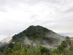 泰山