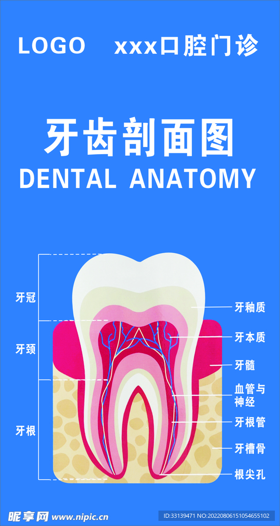 牙科海报