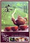 茶