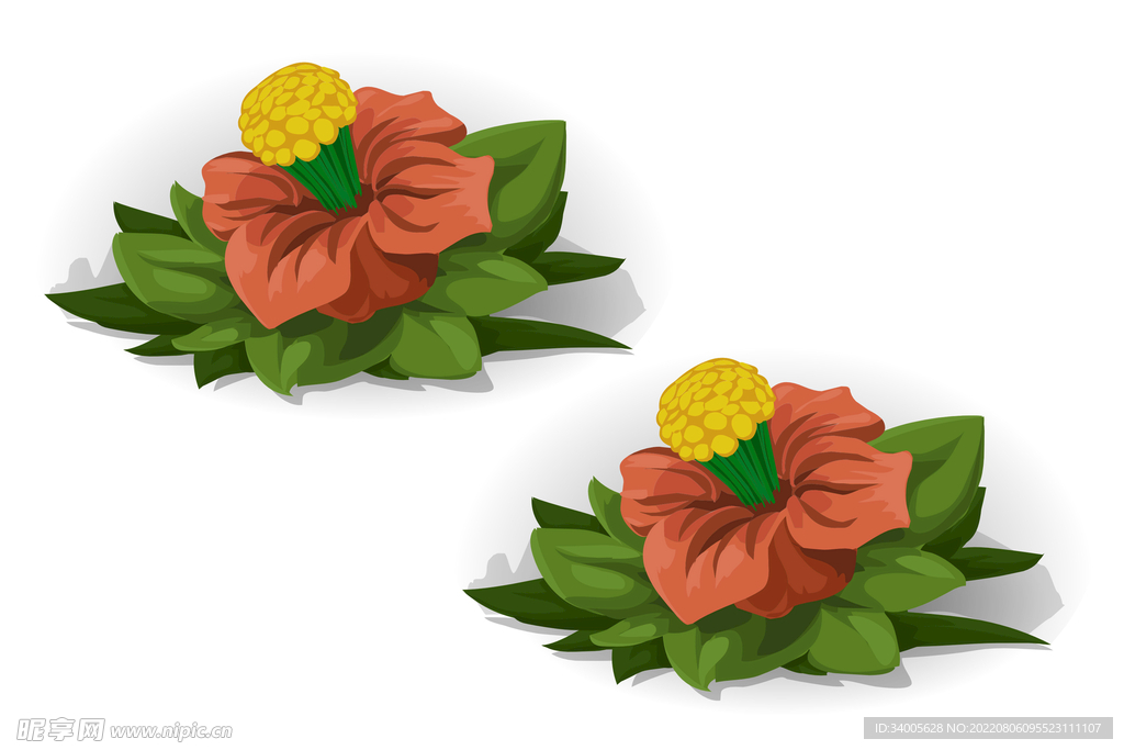 红黄花
