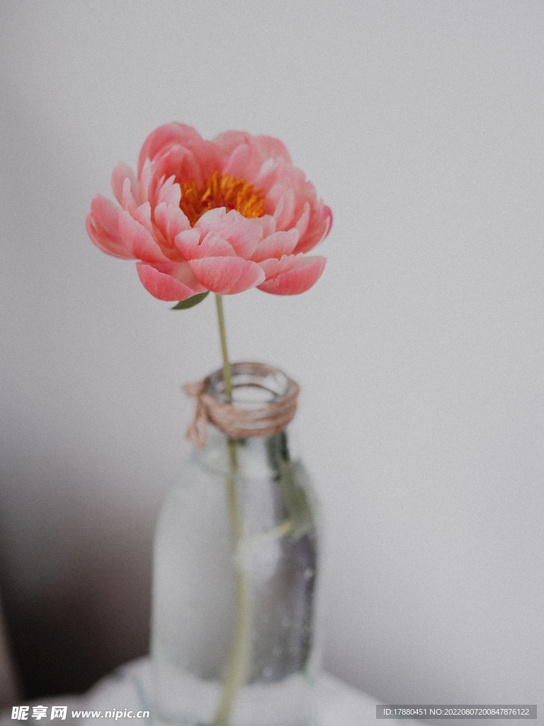 花卉