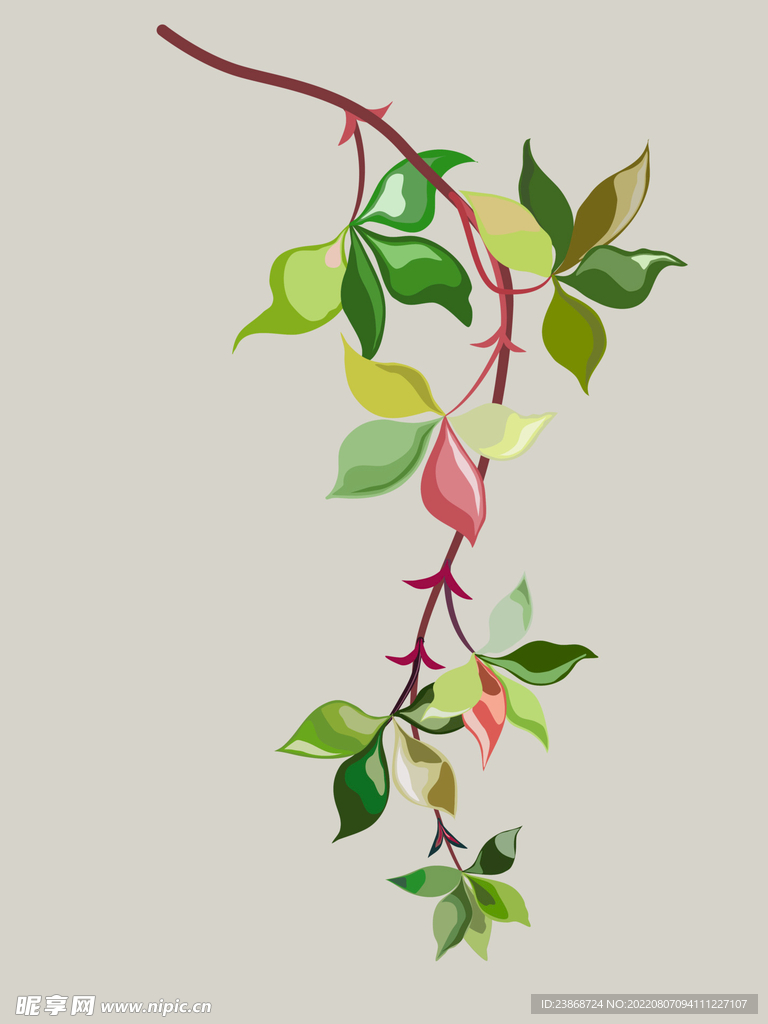  植物叶子