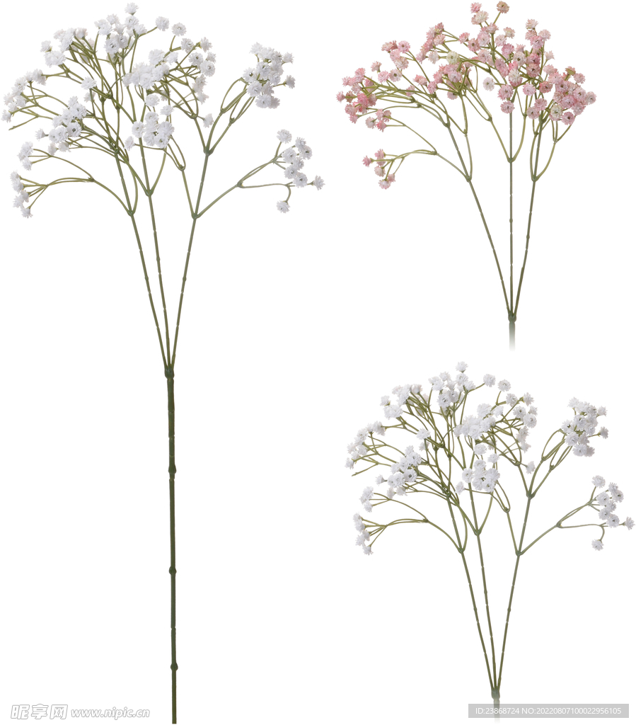 花